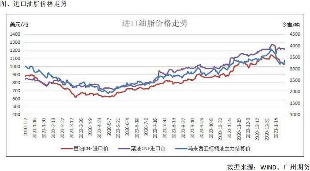 花生价格最新行情走势解析